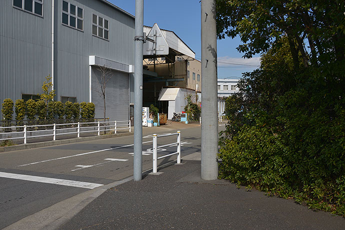 太田区のねこ