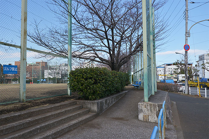 太田区のねこ