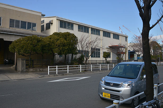 太田区のねこ