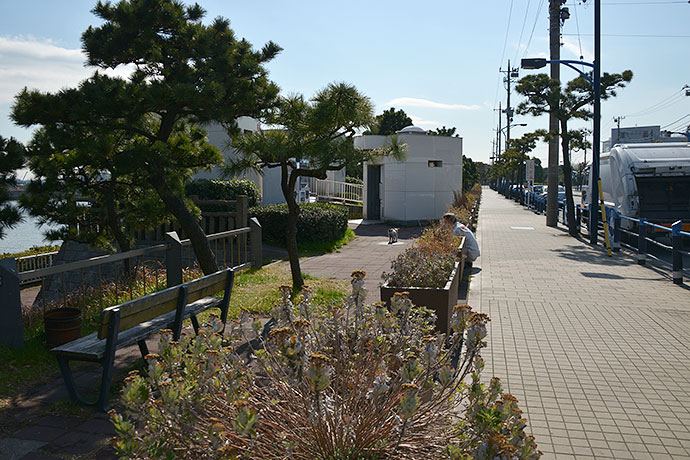 太田区のねこ