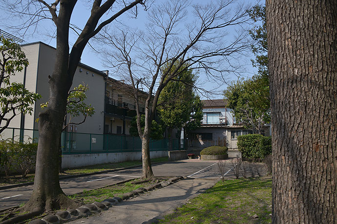 太田区のねこ
