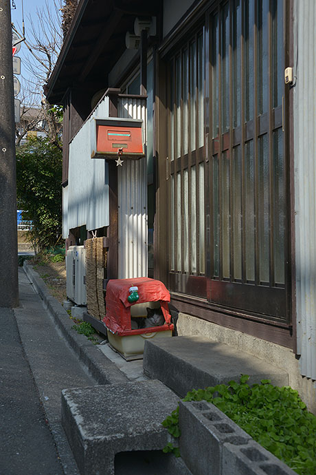 太田区のねこ