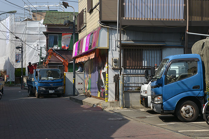 太田区のねこ
