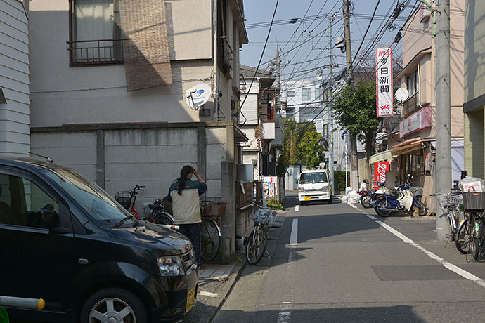 太田区のねこ