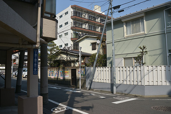 太田区のねこ