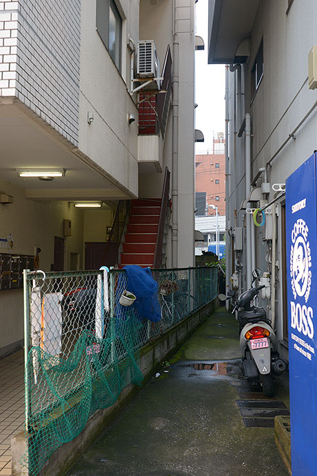 太田区のねこ