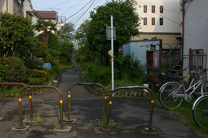太田区のねこ