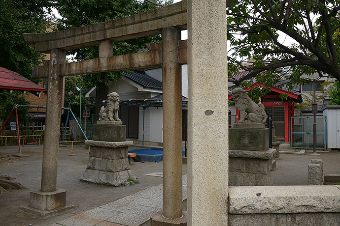 太田区のねこ