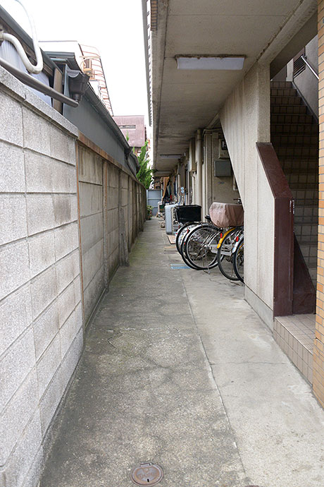 太田区のねこ