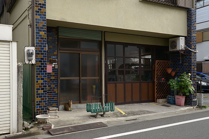 太田区のねこ