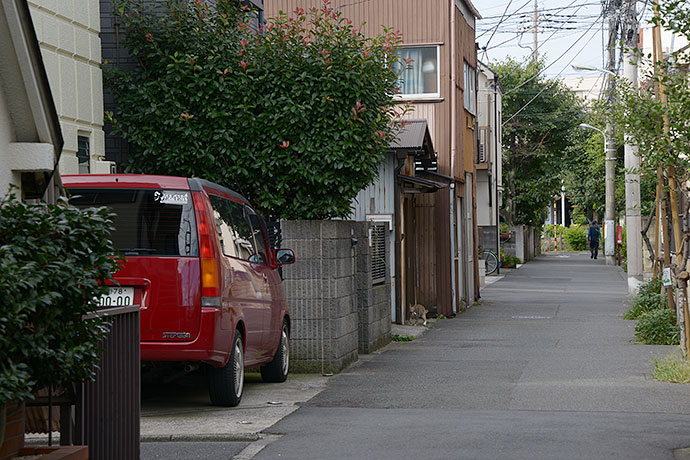 太田区のねこ