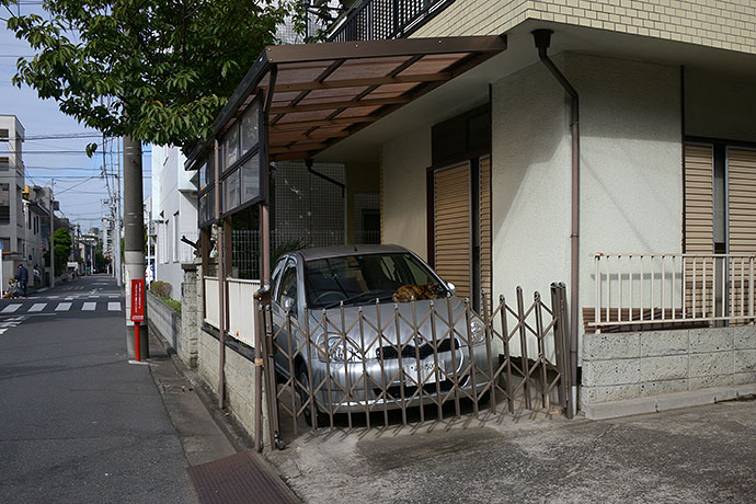 太田区のねこ