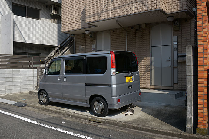 太田区のねこ