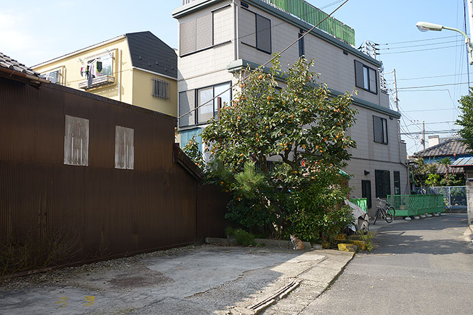 太田区のねこ