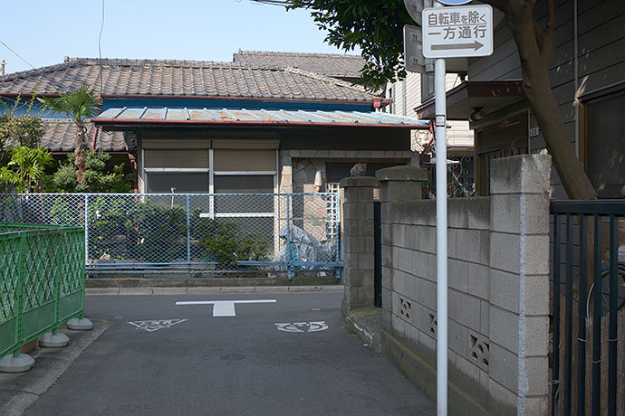 太田区のねこ
