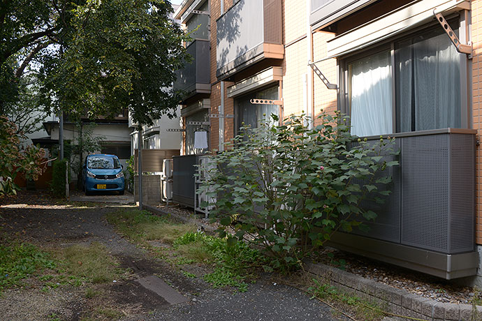 太田区のねこ