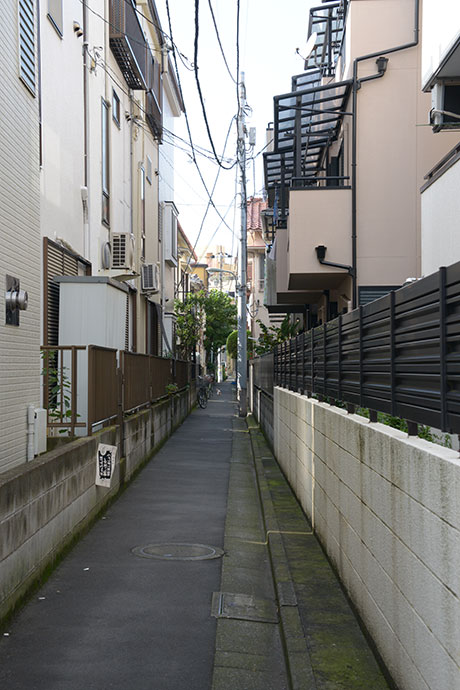 太田区のねこ