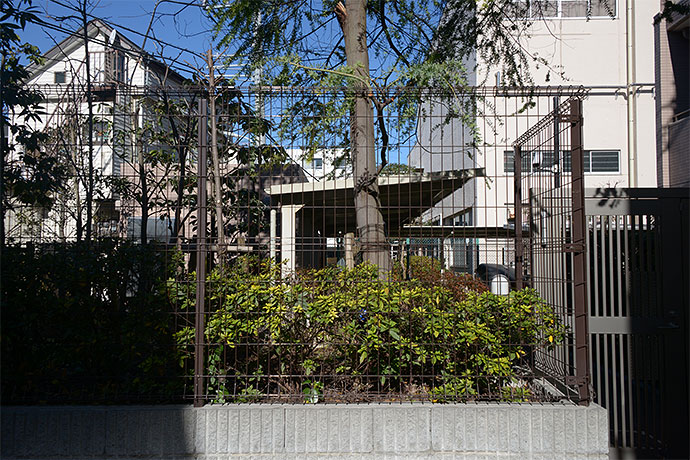 太田区のねこ