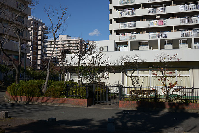 太田区のねこ
