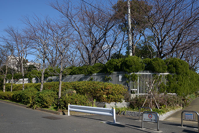 太田区のねこ