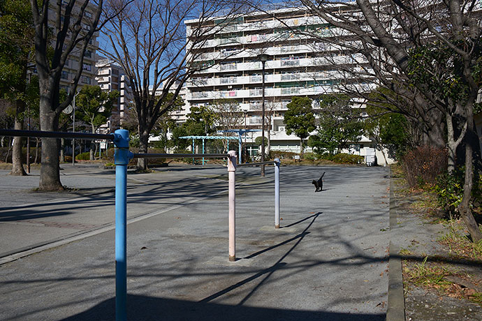 太田区のねこ
