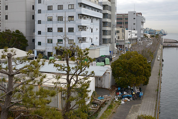 太田区のねこ