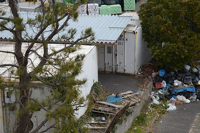 太田区のねこ