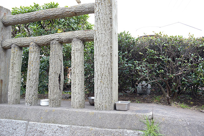 太田区のねこ