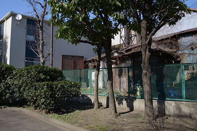 太田区のねこ