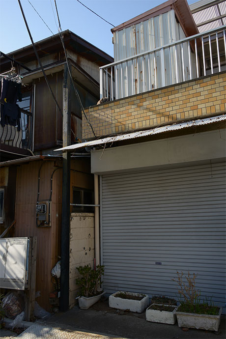 太田区のねこ