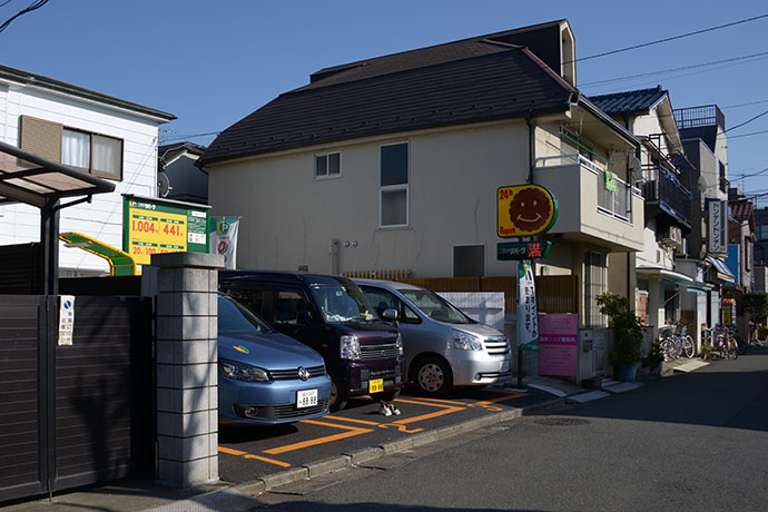 太田区のねこ