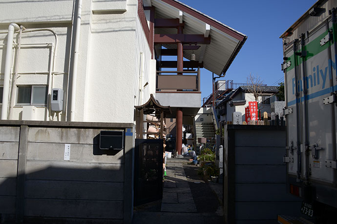 太田区のねこ
