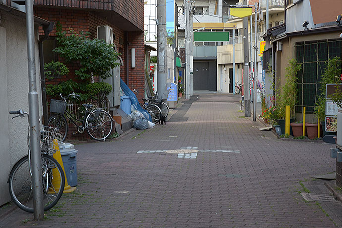 太田区のねこ