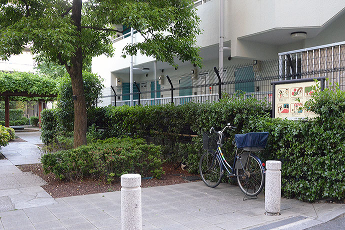 太田区のねこ
