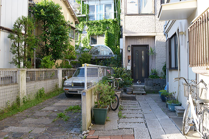 太田区のねこ