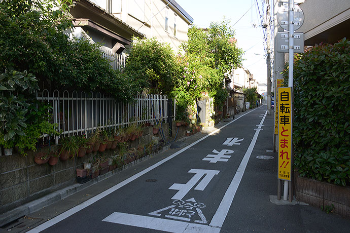太田区のねこ