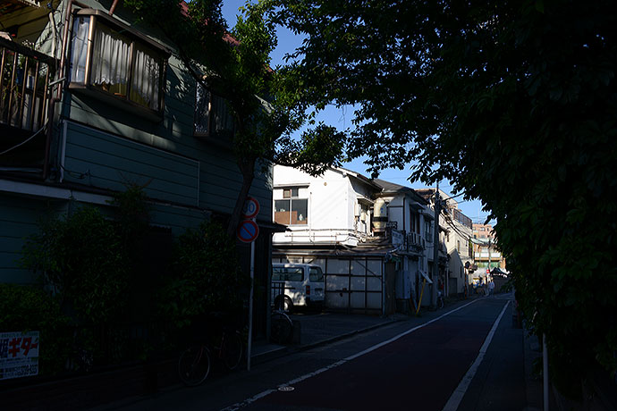 太田区のねこ