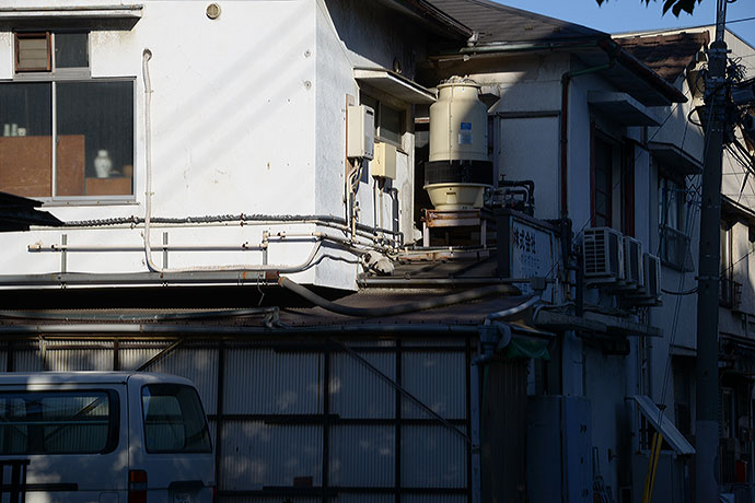 太田区のねこ