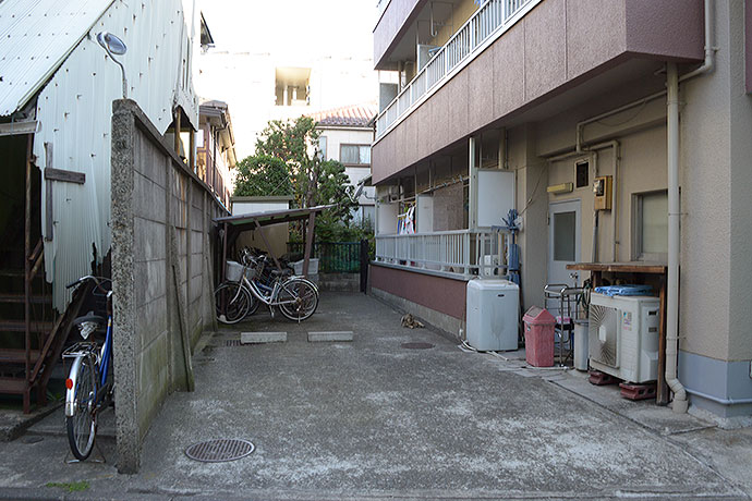 太田区のねこ