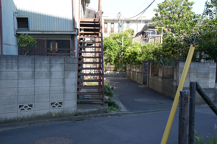 太田区のねこ