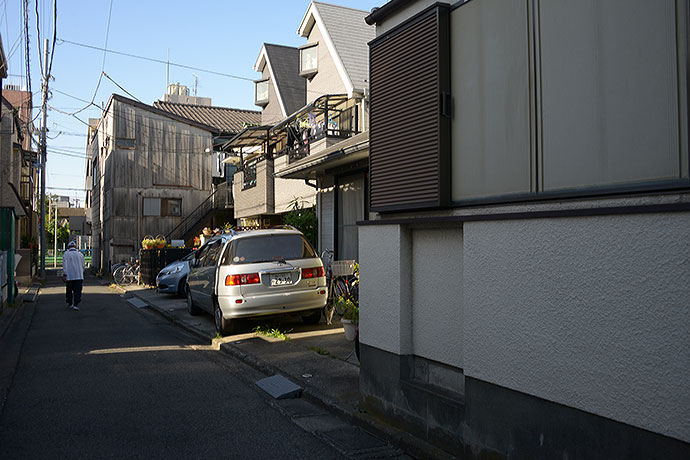 太田区のねこ