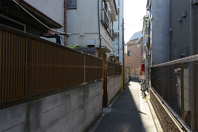 太田区のねこ