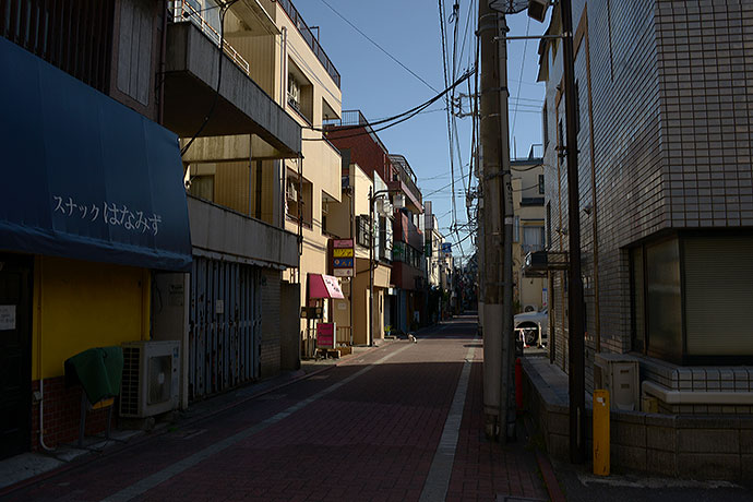 太田区のねこ