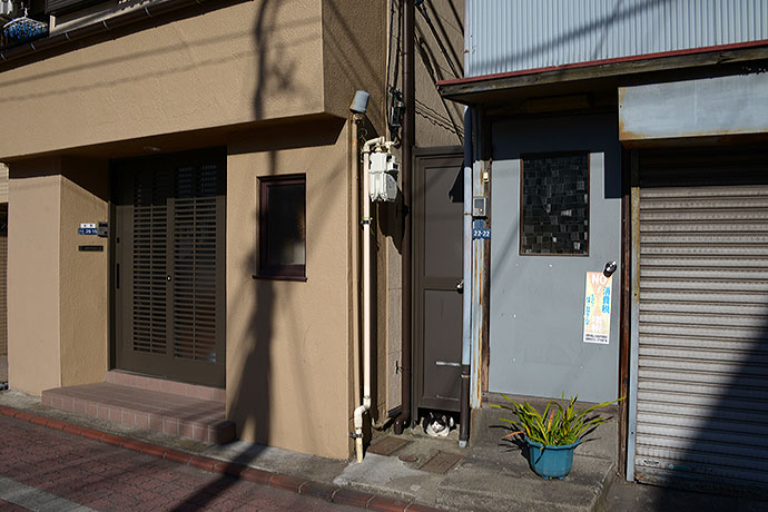 太田区のねこ