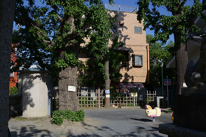 太田区のねこ