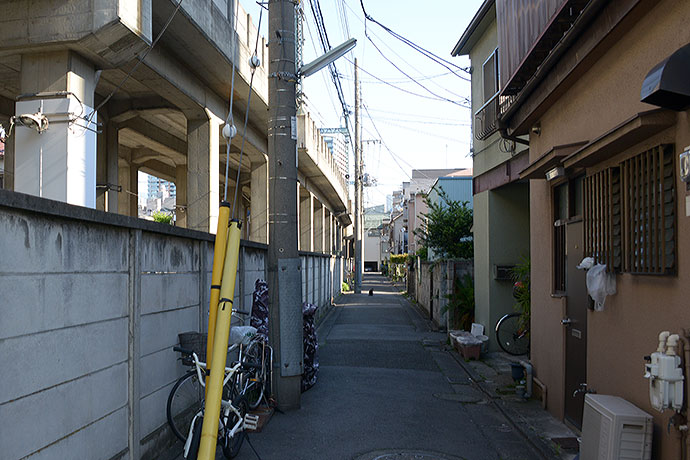 太田区のねこ