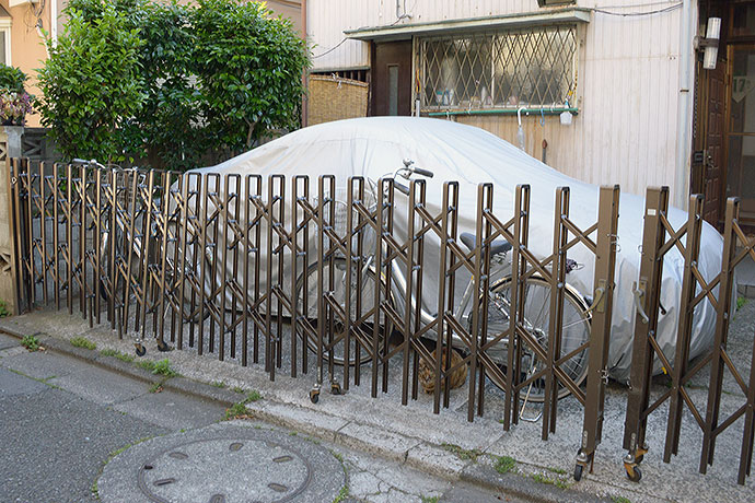 太田区のねこ