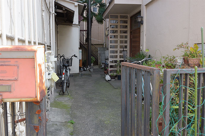 街のねこたち