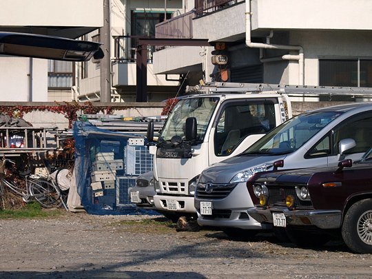 太田区のねこ