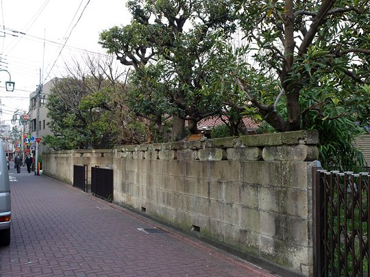 太田区のねこ